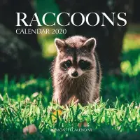 在飛比找博客來優惠-Raccoons Calendar 2020: 16 Mon