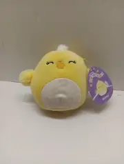 Squishmallow 5" Aimee Chick Yellow Flower Belly Easter Holiday Bird Plush Eyes
