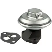 Exhaust Gas Recirculation (EGR) Valve-Valve WVE 4F1014