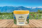 BayernBlume Propolis Balm Extra Strong (200 ml) with Valuable Oils and Shea Butter, Protection for Sensitive Skin, Promotes Regeneration of Small Skin Damage, Relieves Itching and Tension