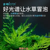 在飛比找Yahoo!奇摩拍賣優惠-精品吉印魚缸燈水草專用燈紅草綠草魚適用雙排燈珠Led防水夾燈