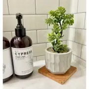 Artificial Bonsai Plant in a Handmade Textured Concrete Pot with Wood Tray