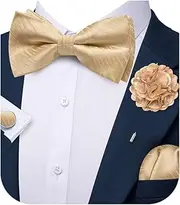 [Ailisus] Men Bow Ties Set and Lapel Pin Pretied Silk Paisley Floral Bowtie Handkerchief Cufflinks Wedding Business Tuxedo