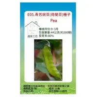 在飛比找PChome24h購物優惠-【蔬菜工坊】 E05.青芳豌豆(荷蘭豆)種子