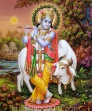Krishna with Cow at Dusk CV09MC canvas art 20x24