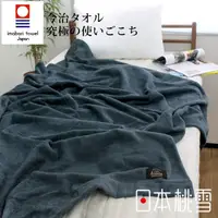 在飛比找PChome24h購物優惠-日本桃雪今治飯店毛巾被(紺青)