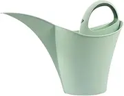 Gardening Watering Can with Long Spout,Watering Can for Outdoor Plants,Anti-Splash Design,Indoor/Outdoor Plants, Lightweight & Durable-2L (Light Green)
