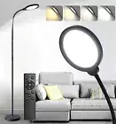 Dimmable LED Floor Standing Lamp with Remote Control and Adjustable Gooseneck