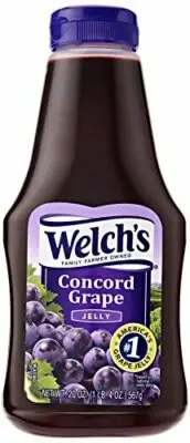 Welch's Concord Grape Jelly 20 Ounce Squeeze Bottle (Pack of 12)