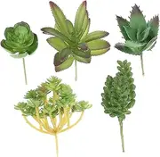 1 Set Artificial Unpotted Succulent Plant Pot Succulent Planters Artificial Plants Artificial Indoor Plants Faux Plants Fake Succulent Plants for DIY Simulated Succulents Plastic TEHAUX