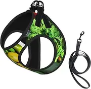 fresh vegetables fruits print Dog Harness and Leash Set, Reflective Adjustable Puppy Vest for Small Medium Large Dogs, Cats