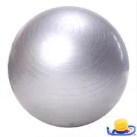 在飛比找PChome24h購物優惠-75CM 瑜珈球/抗力球/瑜伽健身球/銀色