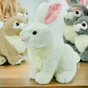 【歐比邁】柔軟仿真兔 30cm(兔寶寶 兔娃娃 玩偶 柔軟仿真兔 0112106)