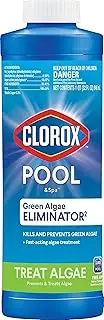 Clorox Pool&Spa Green Algae Eliminator 1-Quart 42032CLX