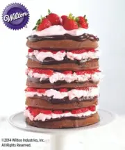 Wilton 5 layer cake pan set
