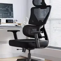 在飛比找蝦皮購物優惠-統編-免運（精選）（可調節）黑白調P5雙背 人體工學椅電腦椅