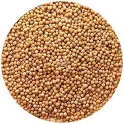 White/Yellow Mustard Seeds - 1 KG