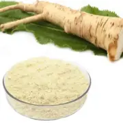 Horseradish Powder Horse Radish Armoracia Rusticana - High Quality Herbs - 100g