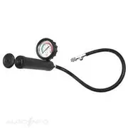 Toledo Pump With Hose/Gauge - 308553