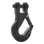 5/16'' Safety Steel Latch Winch Hook with Clevis Slip 5500lb Work Load Limit