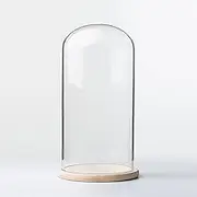 Glass Cloche Dome Display with Solid Wood Base for Displaying Plants, Ornaments, Figurines Dia 18 cm(18*30cm)