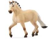 Norwegian Fjord Horse Mare