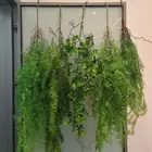 DIY Artificial Plant Vine Multicolor Greenery Eucalyptus Wedding