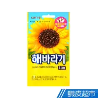 在飛比找蝦皮商城優惠-韓國LOTTE 葵花籽洋菓子球 蝦皮直送