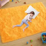 Ultra Soft Fluffy Rugs for Bedroom 4x6 Feet, Shag Area Rugs for Living Room,