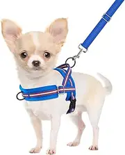 SlowTon No Pull Small Dog Harness and Leash Set, Puppy Soft Vest Harness Neck & Chest Adjustable, Reflective Lightweight Harness