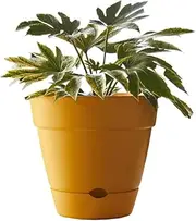 [Northcote Pottery] Leonard Self-Watering Pot, 38 x 34 cm Size, Yellow