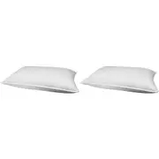 2PK Jason Commercial Feather & Down Premium Cotton Bedroom Pillow 48x73cm