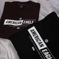 在飛比找蝦皮購物優惠-American Eagle 🦅 螢光極簡Logo長袖(男版