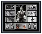 ARNOLD SCHWARZENEGGER NEW SIGNED LIMITED EDITION FRAMED MEMORABILIA