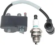 Coil Ignition With BM6A For Echo ED-200 EDR-210 ES-210 ES-211 GT-200 GT-200EZR GT-200R GT-200i GT-201EZR GT-201R GT-201i GT-225 GT-225L GT-225SF Parts#A411000130 A425000000(Canada) 15901019830 BPM8Y