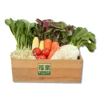 在飛比找家樂福線上購物網優惠-有機蔬菜箱