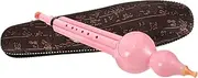 WHAMVOX Soprano Recorder for Beginners Hulusi Flute with Stylish Storage Case Durable Material for Adults Music Practice