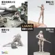 [ HankTown ] 1/35 軍事少女系列 擦坦克車的少女 雙槍少女 駭客少女 狙擊少女｜LIANG F001~4