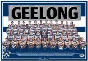 Geelong cats team Photo,AFL football,swans, ,blues books,Sydney swans,pies,crows