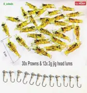 30x Soft Plastic Prawns Bait prawns & 12x 2g Jig Head Fishing Lure Bream Whiting