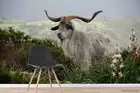 3D Mountain Antelope Wallpaper Wall Mural Removable Self-adhesive 37