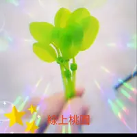 在飛比找蝦皮購物優惠-【桃園現貨】 小草束帶線材束帶綠能小葉子束帶紓壓裝飾電動機車