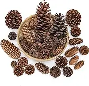 AnyDesign 68Pcs Christmas Natural Pine Cones 4 Shapes Pine Cones Assorted Sizes Pinecones Ornaments Real Preserved Pine Cones for Christmas Tree DIY Holiday Garland Crafts Xmas Home Farmhouse Decor