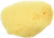 1.5"-2" Hermit Crab Natural SEA Sponge SPONGES - For Cage & Water Dish PREMIUM