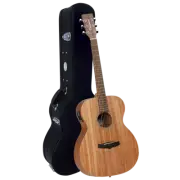 Tanglewood TW2E Winterleaf Orchestra with Case