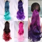 Colorful Long Wavy Wigs Ombre Drawstring Ponytail Cosplay Party