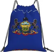 EdWal Pennsylvania State Flag Print Drawstring Backpack Gym Bags Sports Draw String Bags For Gym Travel Swimming Beach, White, One Size