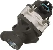 Delphi EG10456 EGR Valve