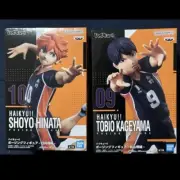 Haikyu!! Posing Figure Shoyo Hinata Tobi Kageyama set of 2 Japan Limited F/S