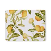 Citrus Rectangle Placemat Set of 4